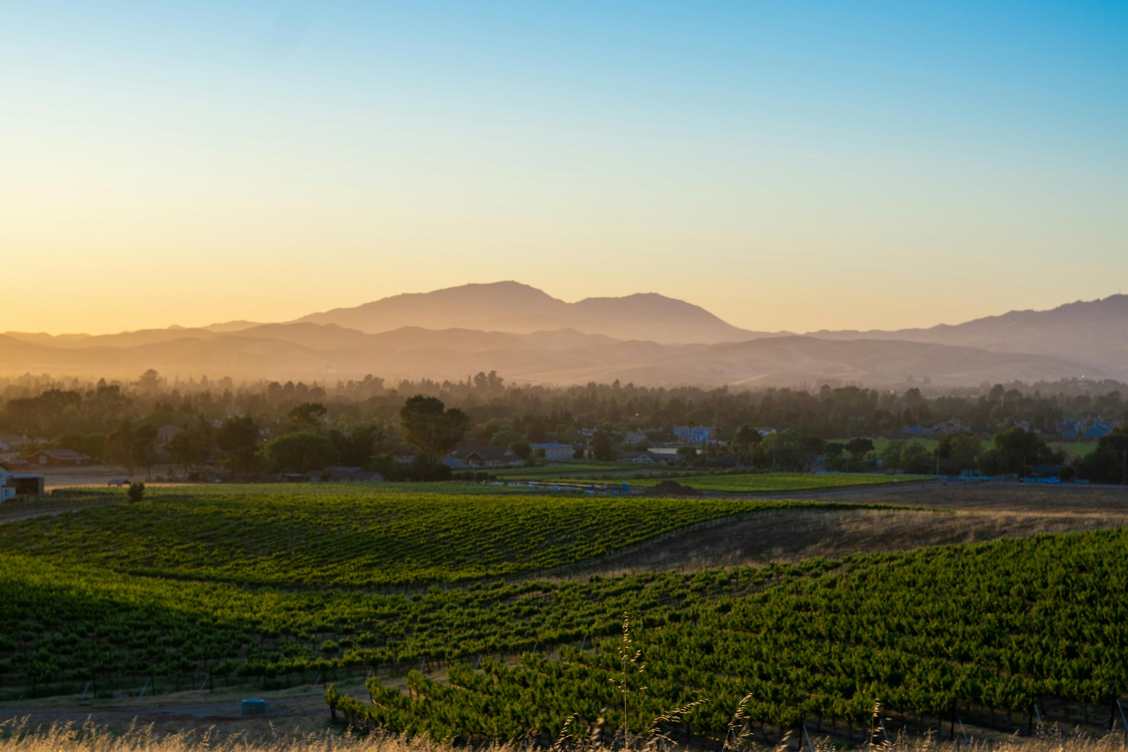 Contra Costa landscape